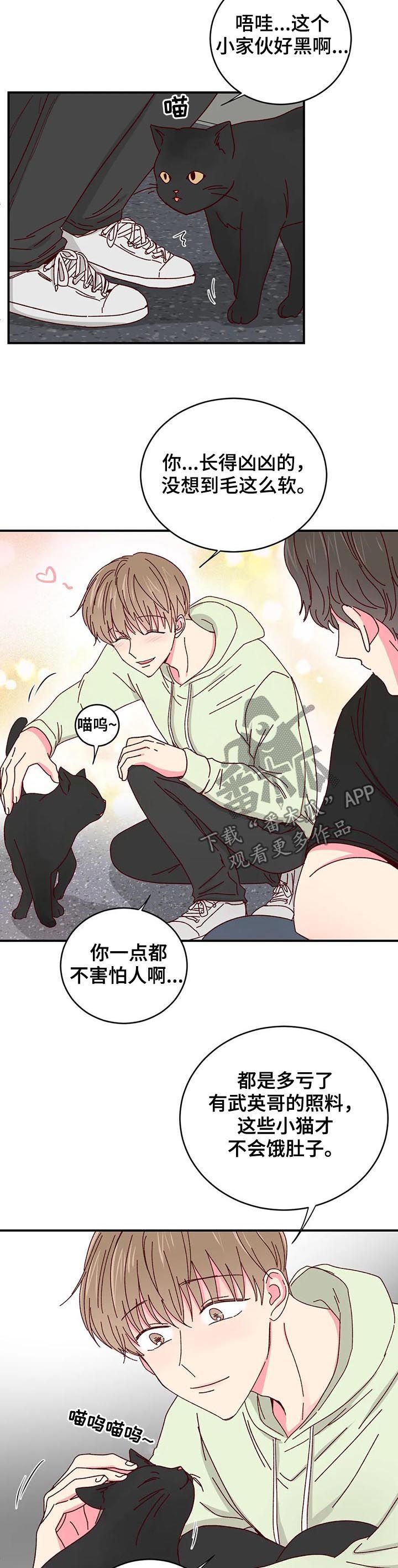 第29章：喂猫