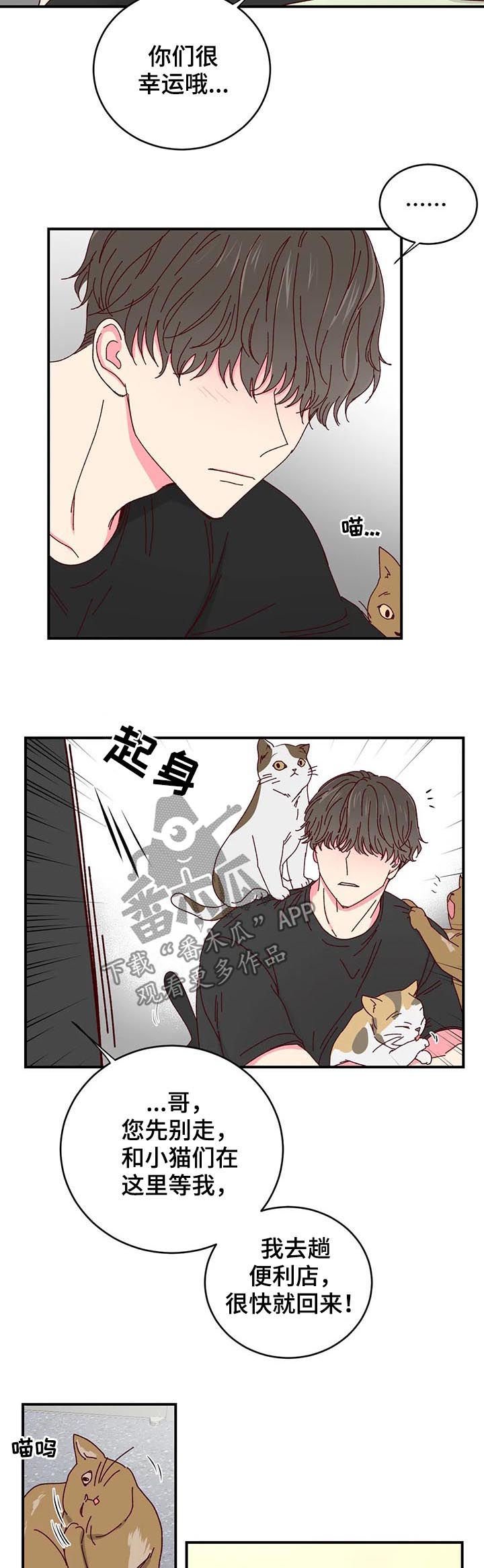 第29章：喂猫