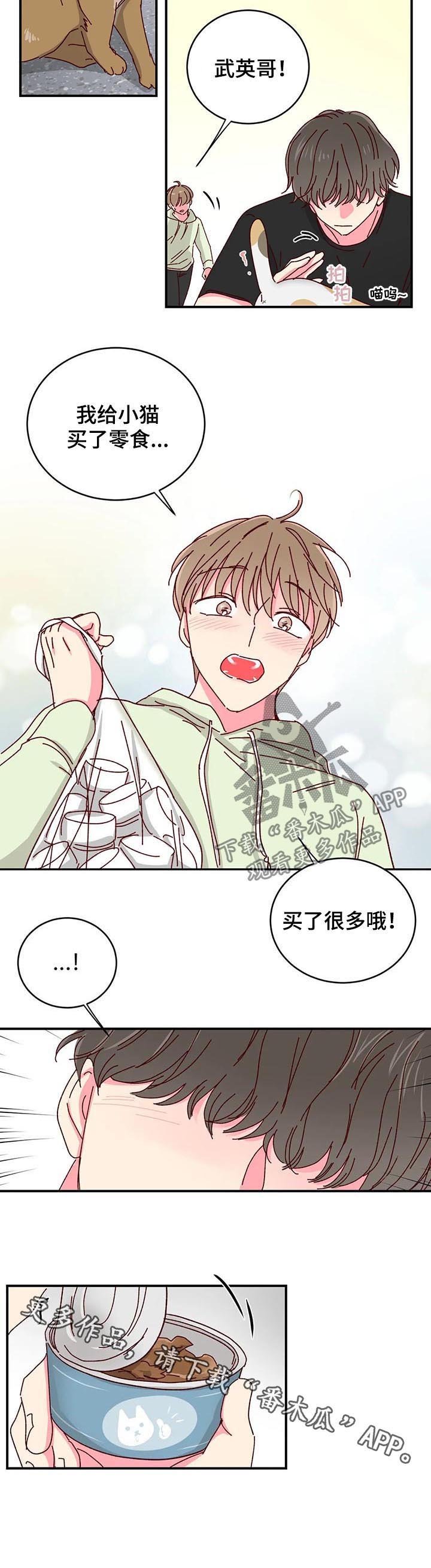 第29章：喂猫