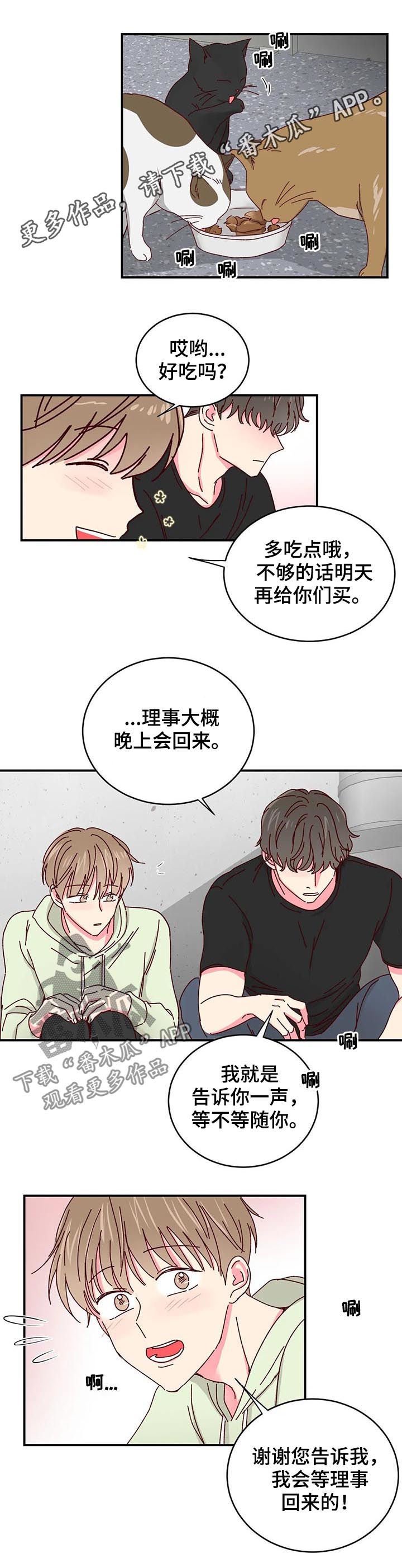第30章：做您喜欢的事情