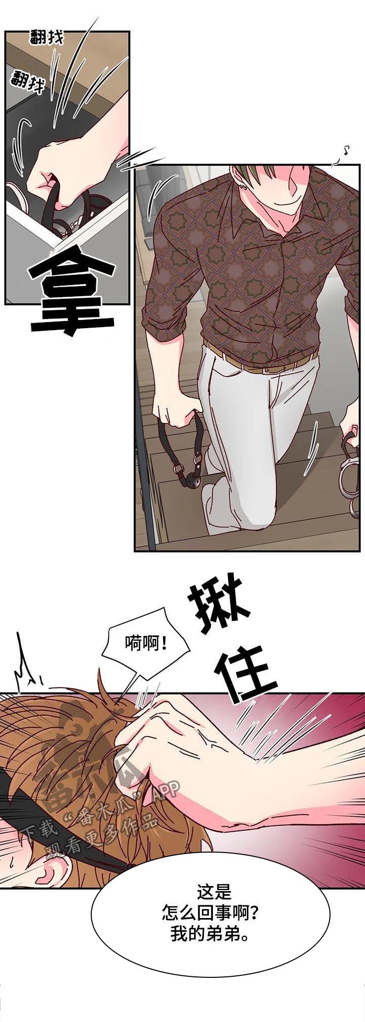 第37章：有好戏看