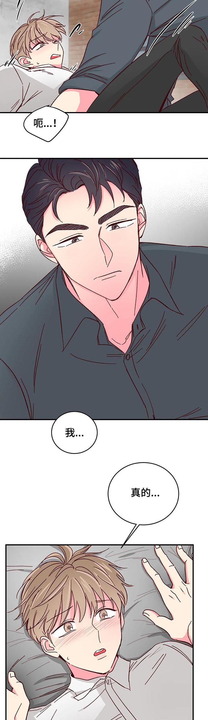 第53章：【第二季】不会碰你
