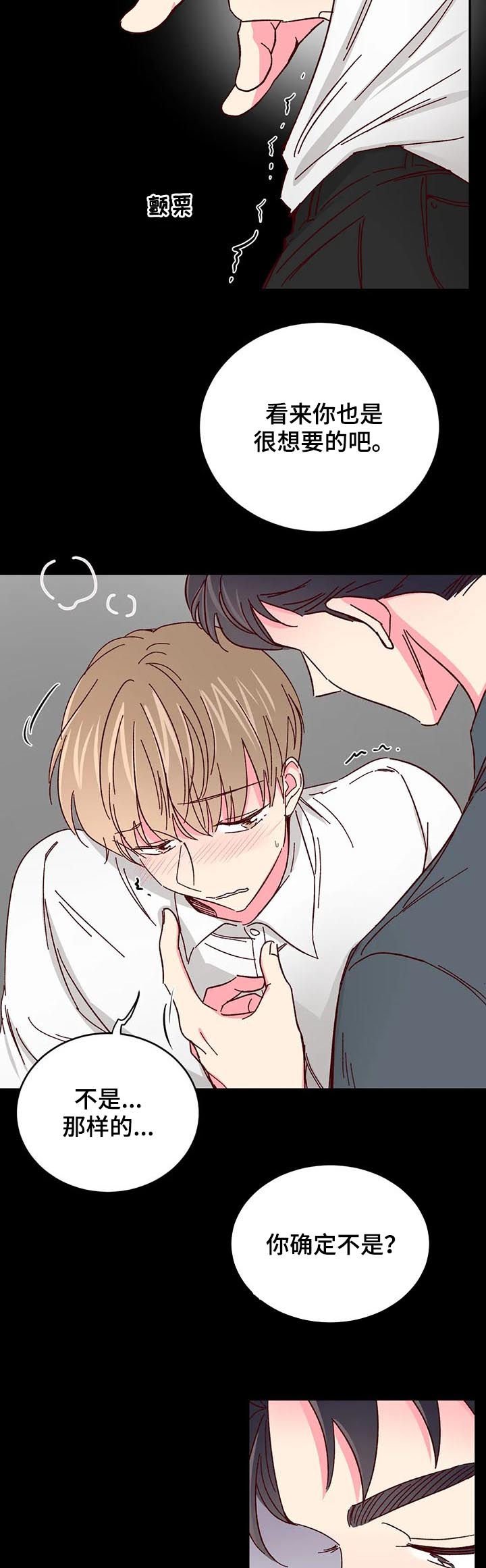 第54章：【第二季】遐想