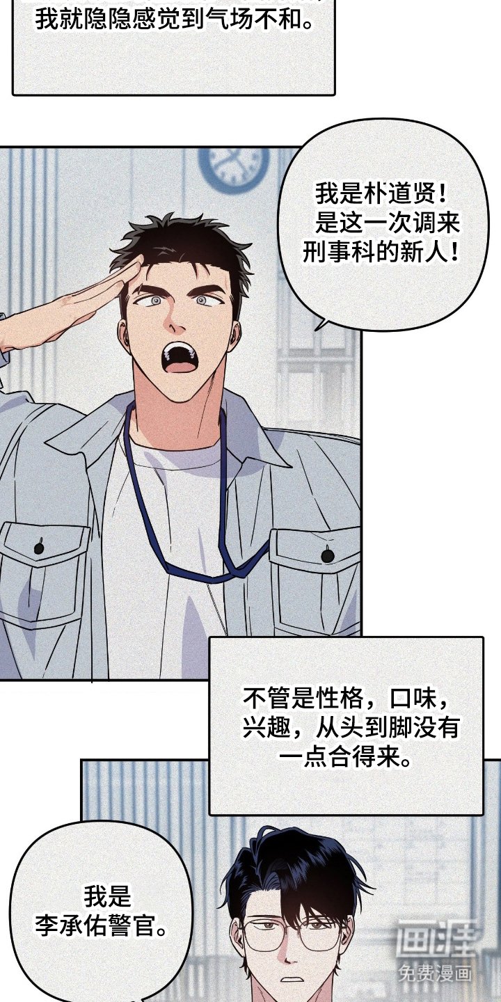 第2章：最多的话