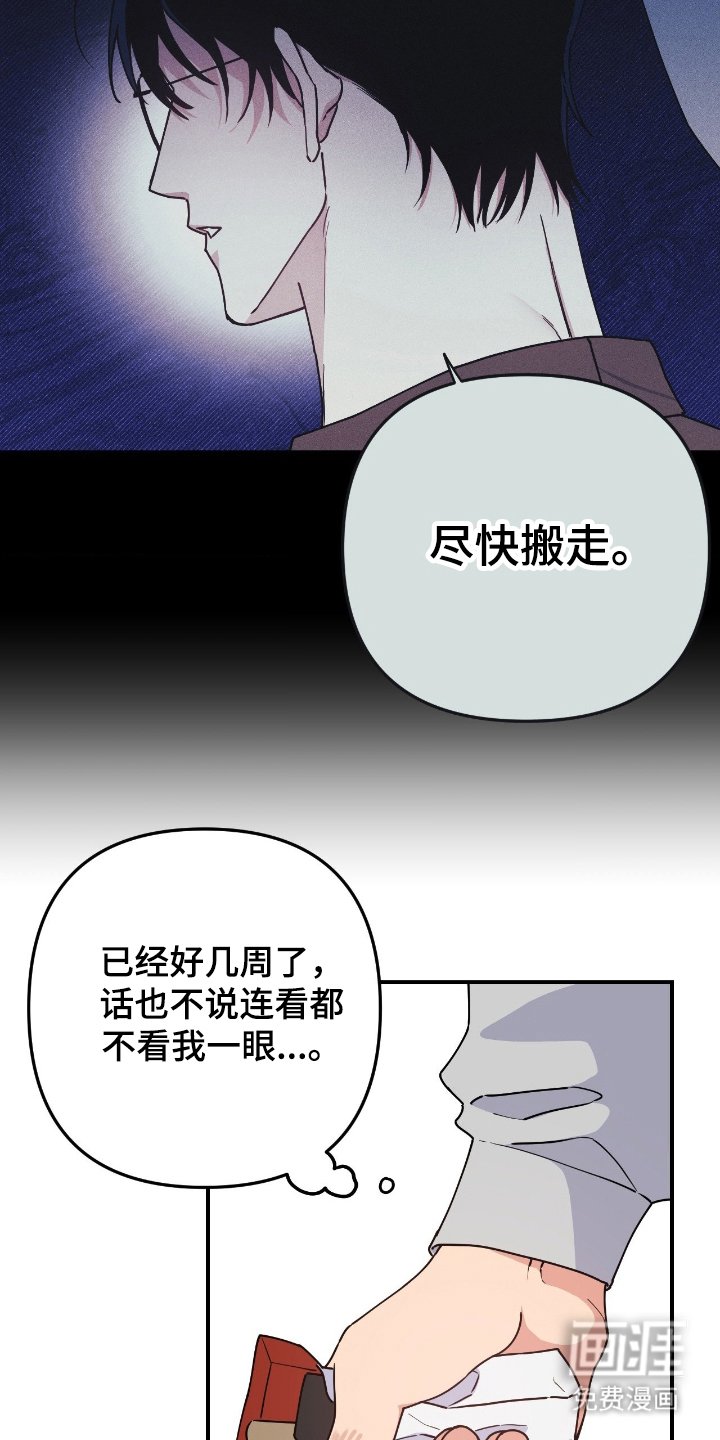 第3章：又打算做什么