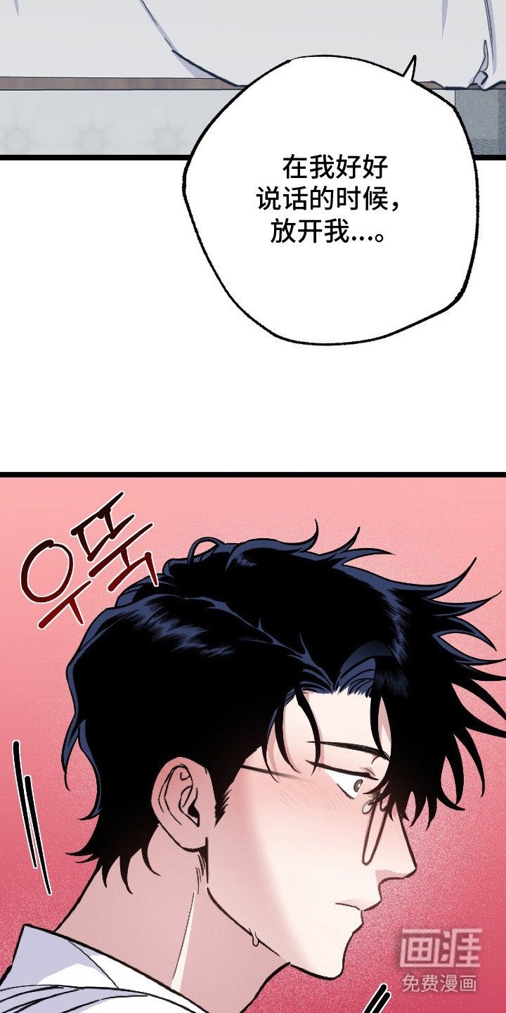 第6章：带回家