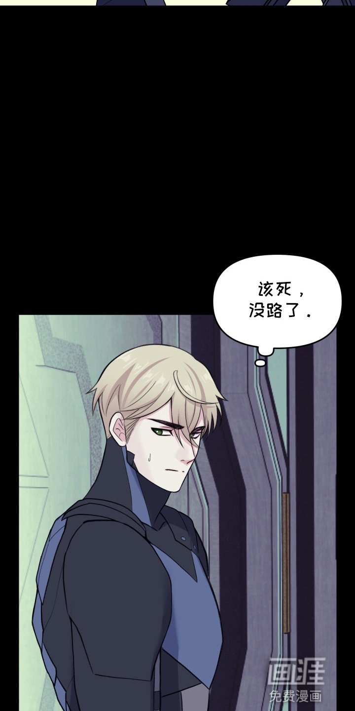 第10章：挑衅