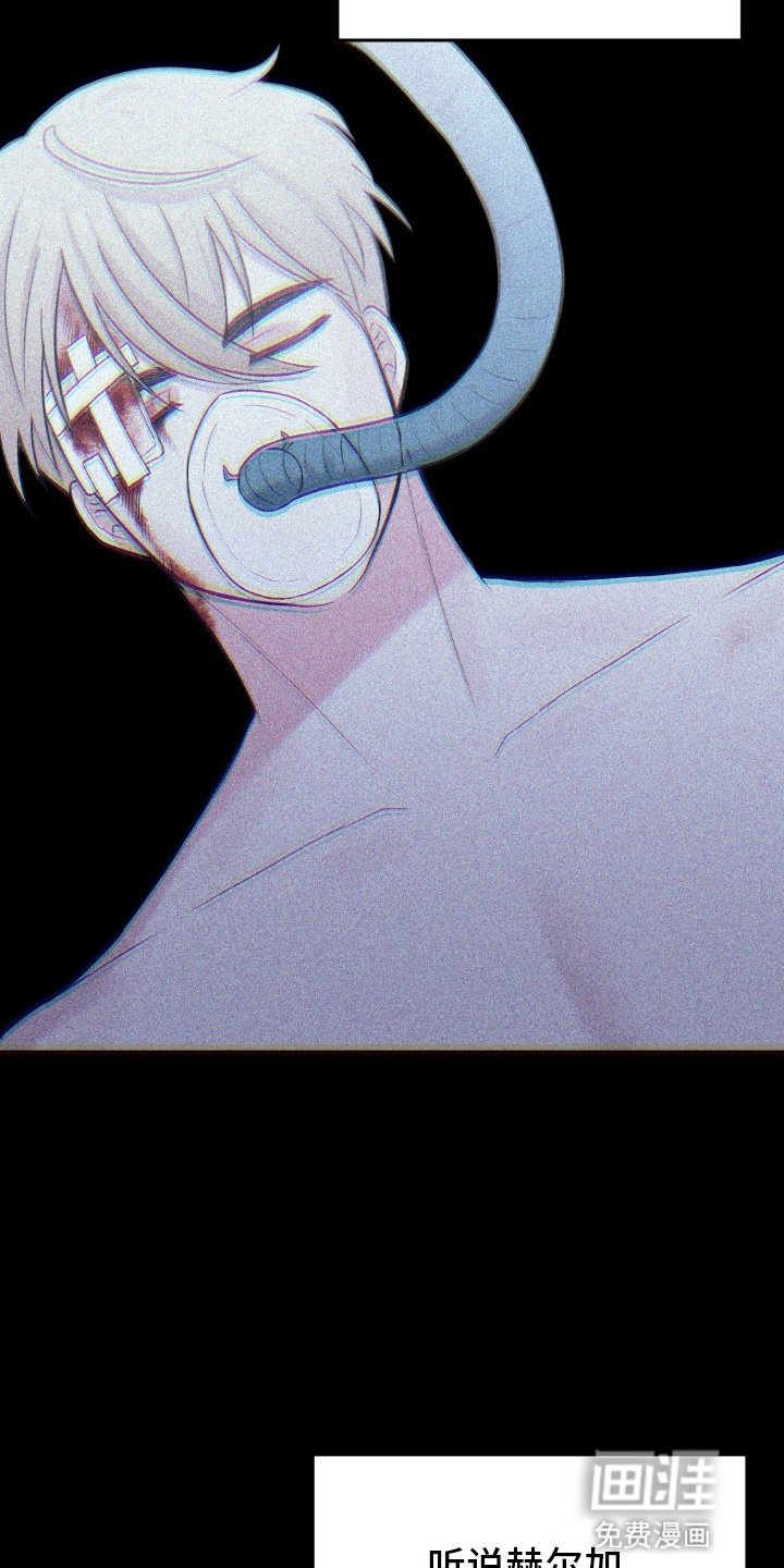 第14章：独自行动