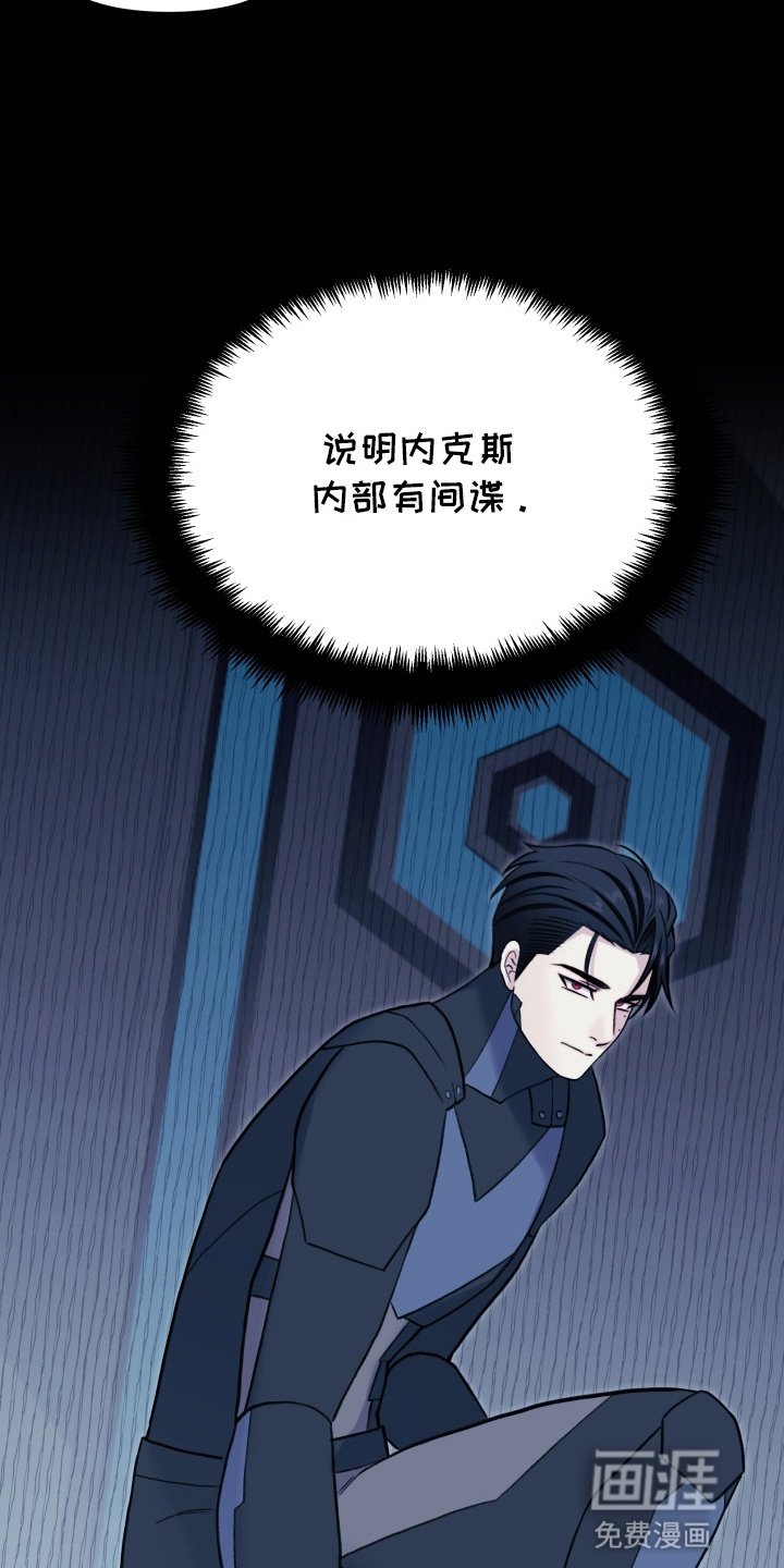 第19章：间谍