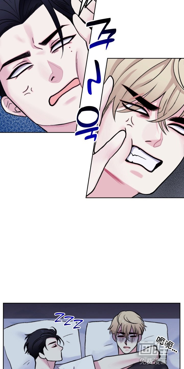 第2章：收留