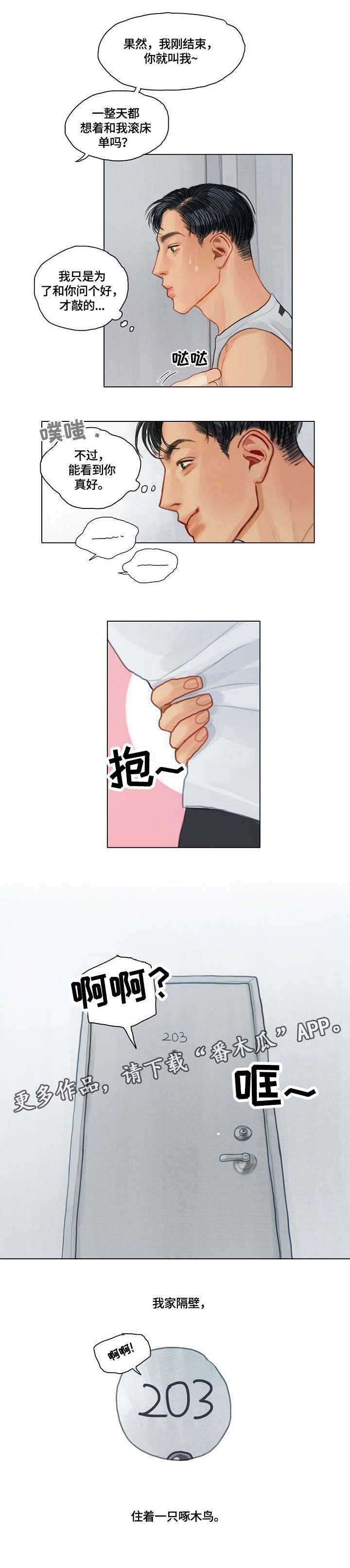 第19章：啄木鸟