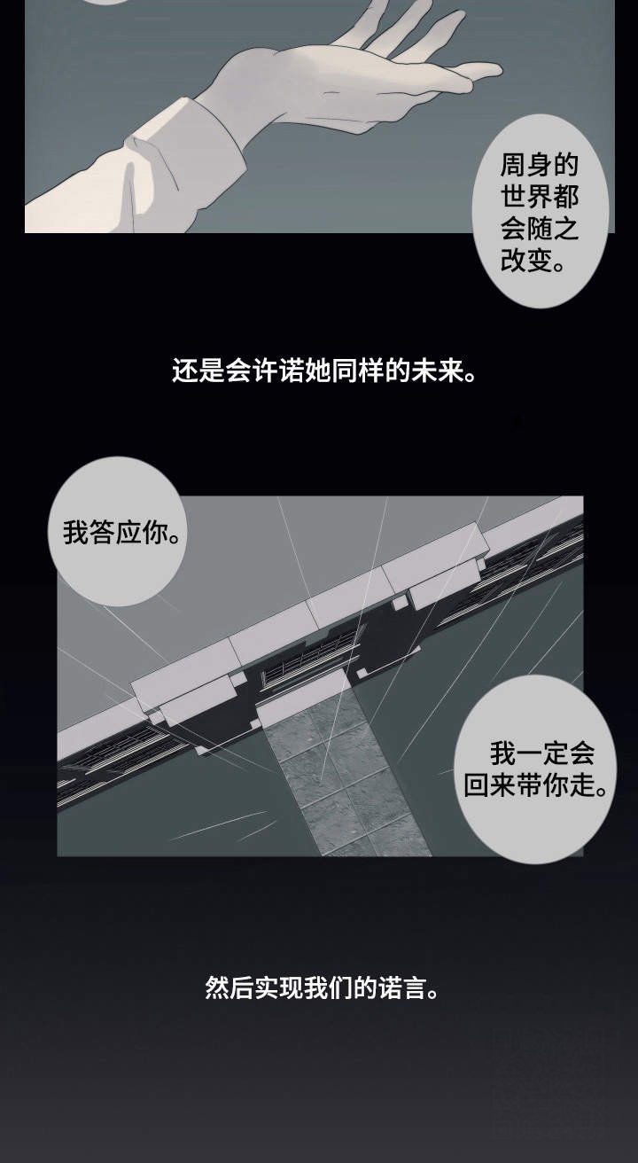 第17章：选择