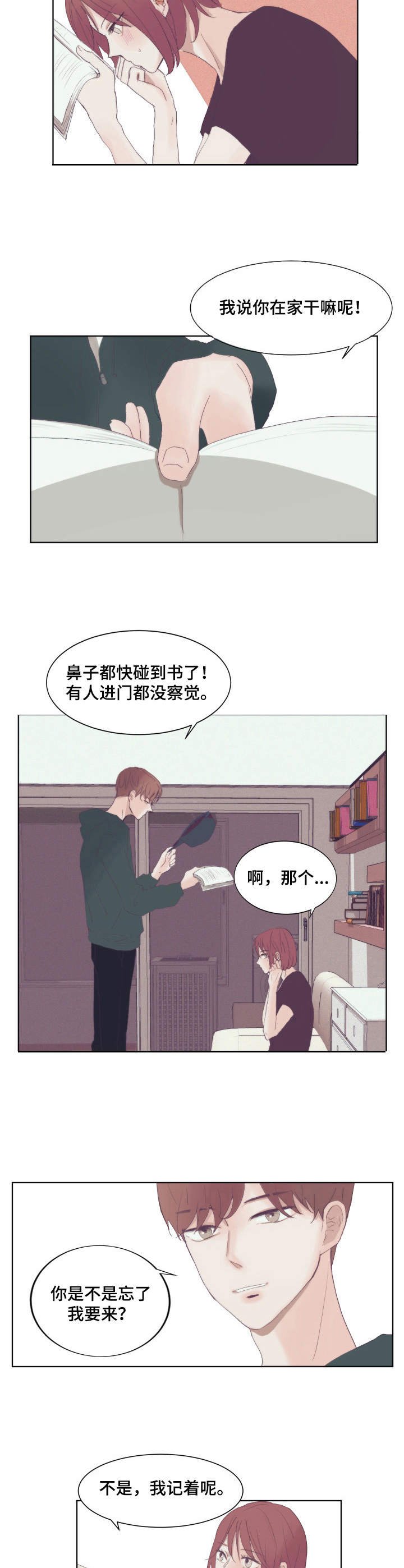 第2章：言情小说