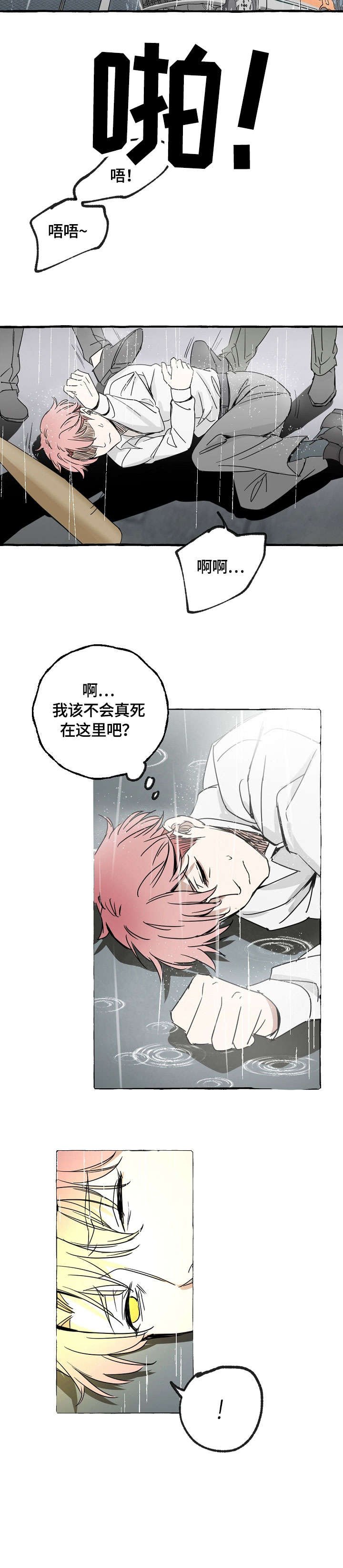 第1章：报复