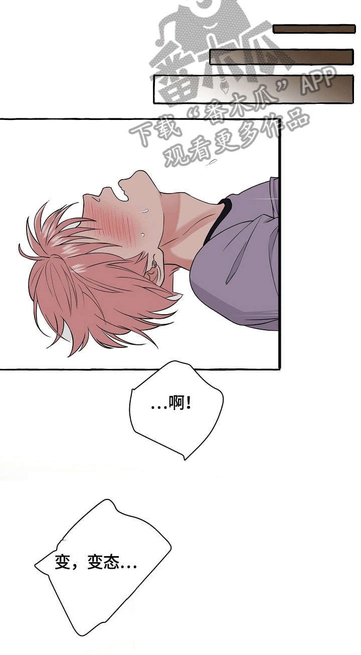第32章：安眠药