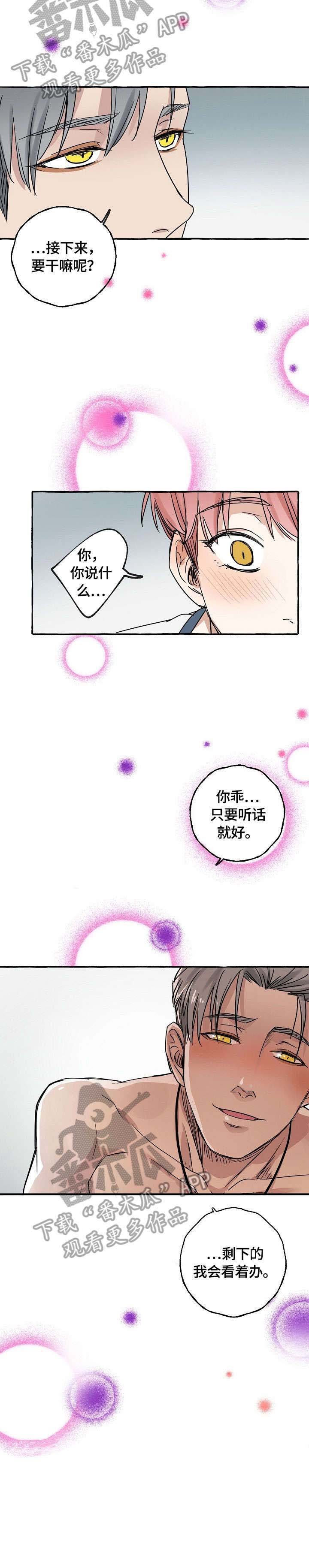 第4章：收尾