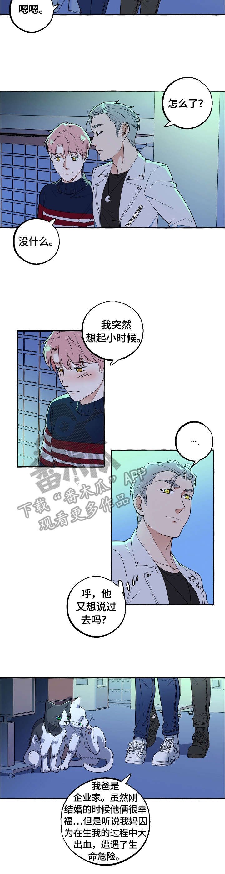 第54章：荣幸