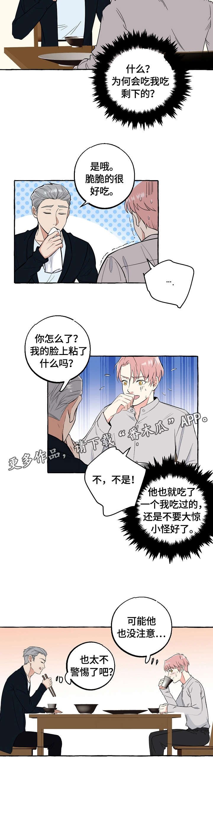 第63章：影响