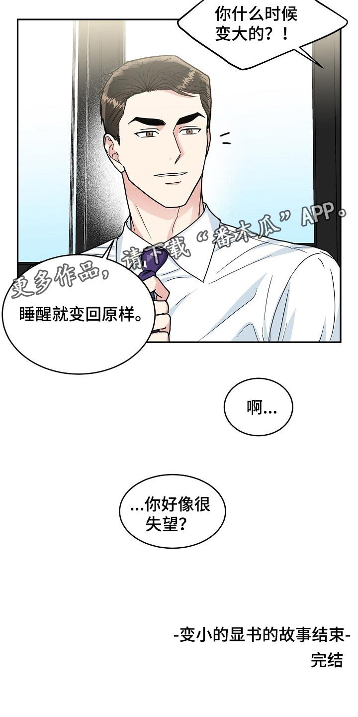 第94章：【番外】变小的显书（完结）