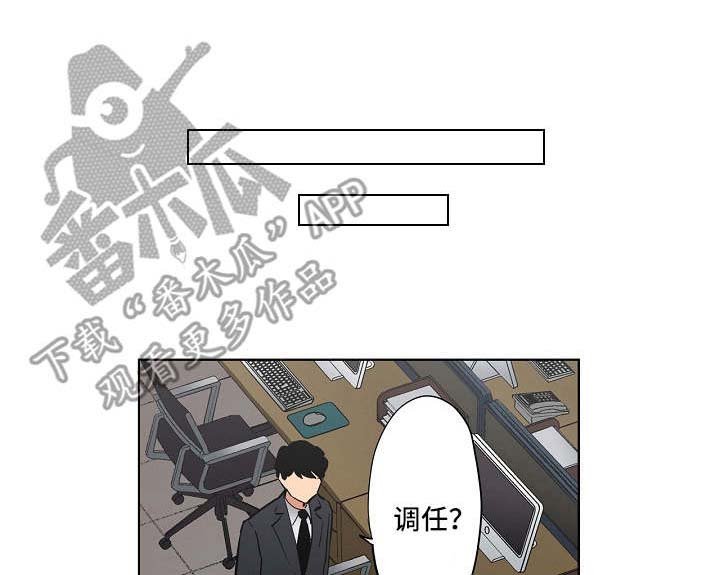 第16章：计划