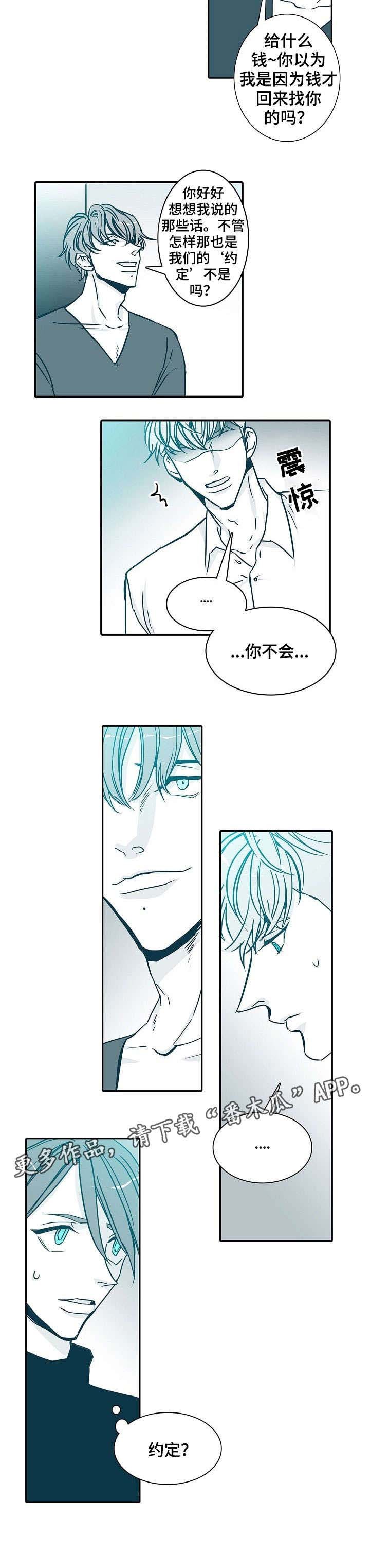 第13章：约定