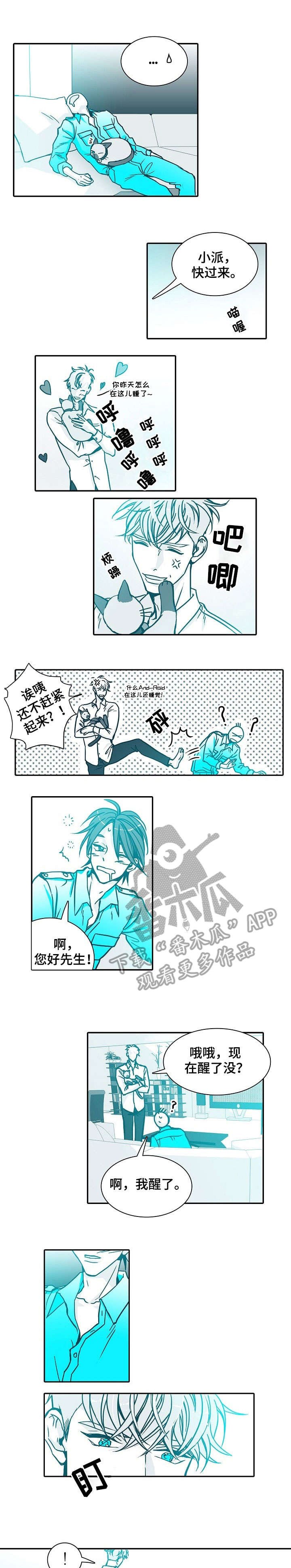 第3章：不像话