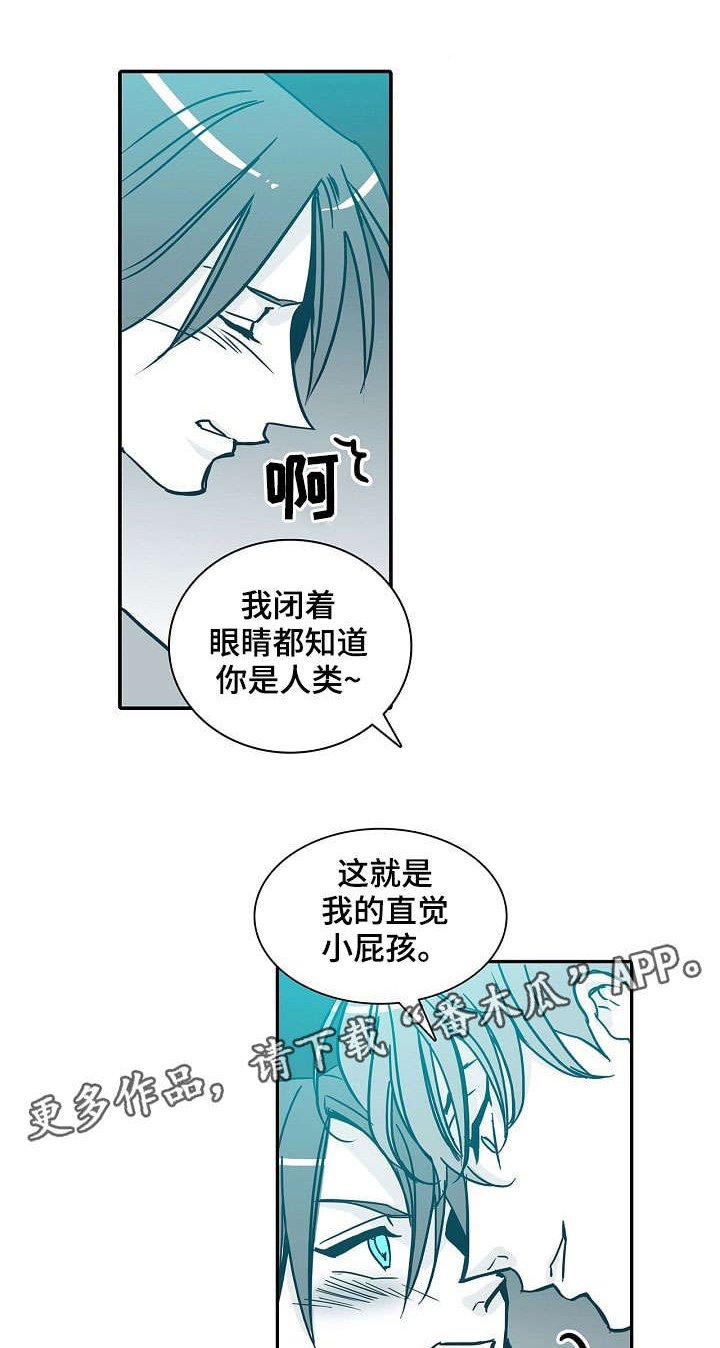 第32章：直觉