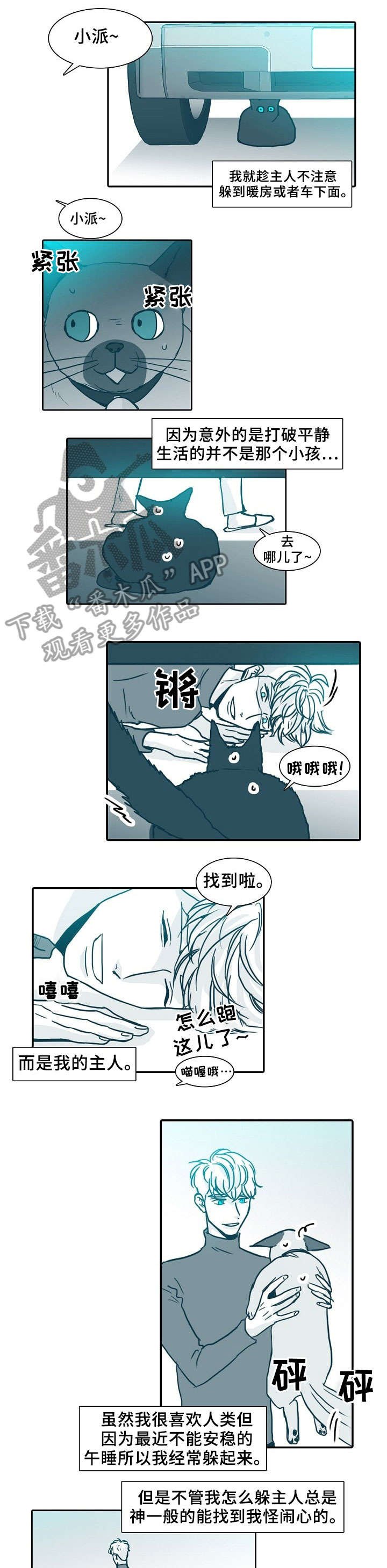 第61章：做饭