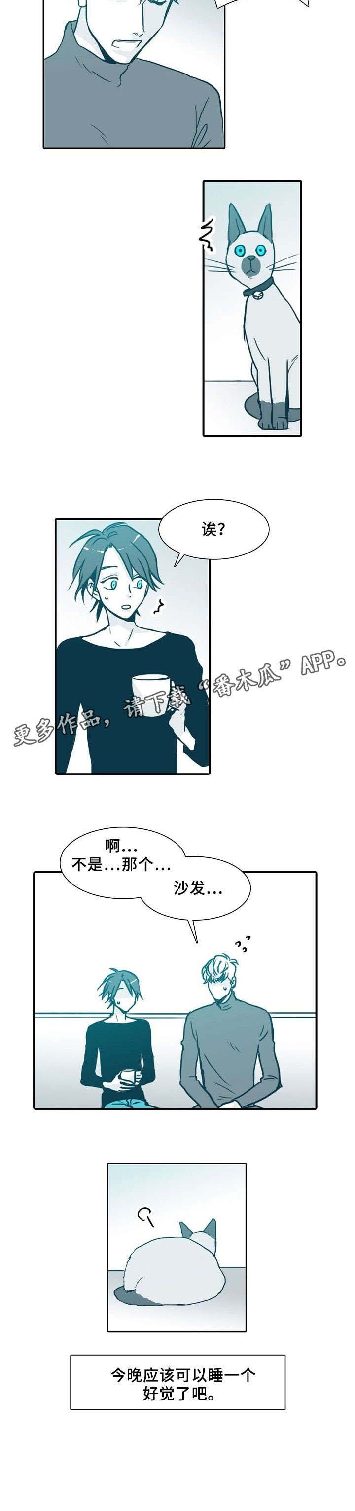 第62章：沙发