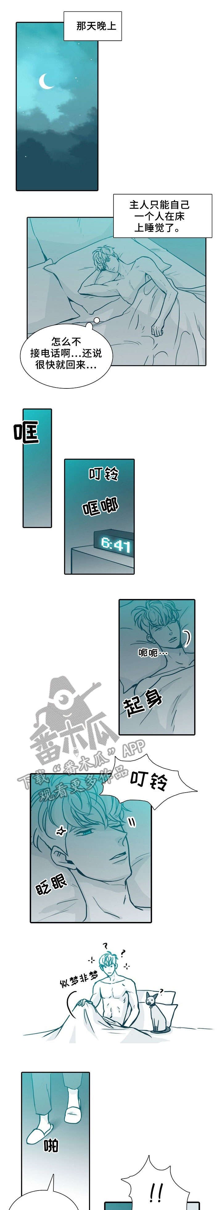 第64章：喵（完结）