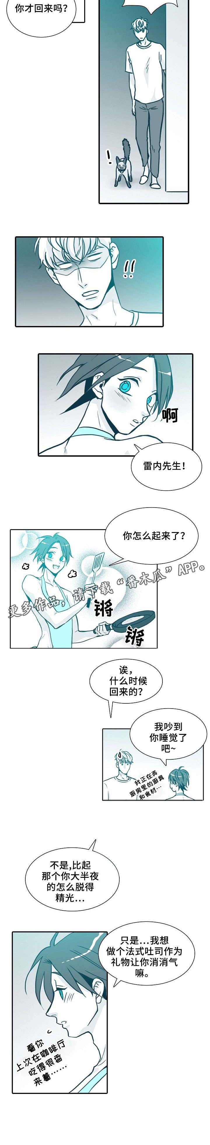 第64章：喵（完结）
