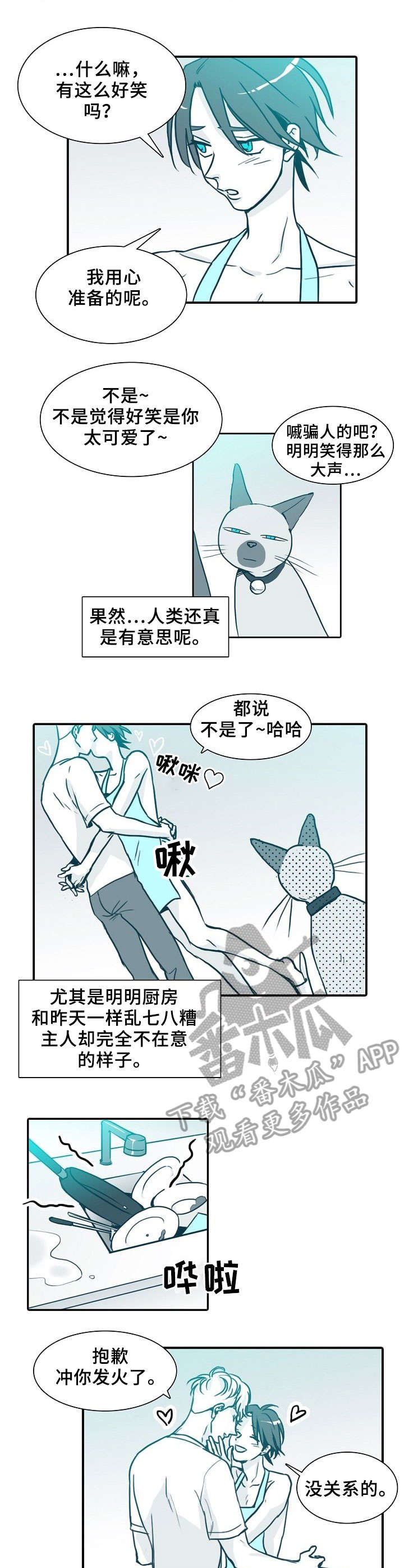 第64章：喵（完结）
