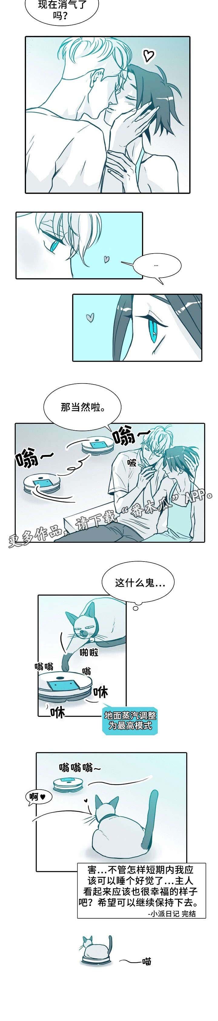 第64章：喵（完结）