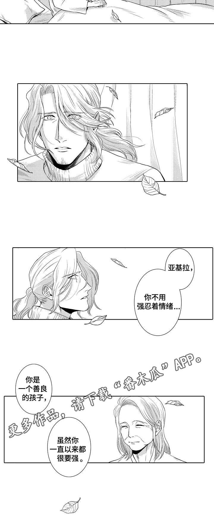 第19章：葬礼