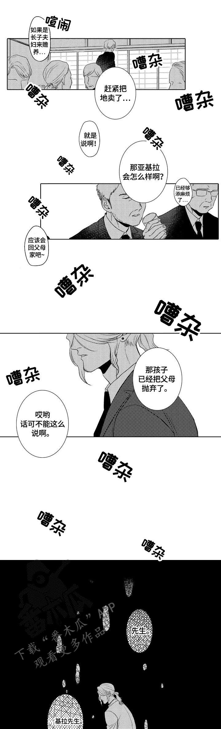 第20章：嘈杂