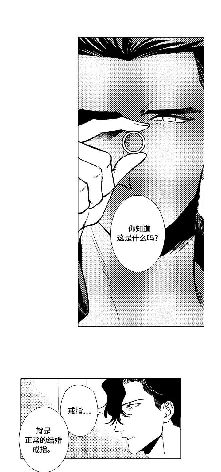 第29章：正常的证据