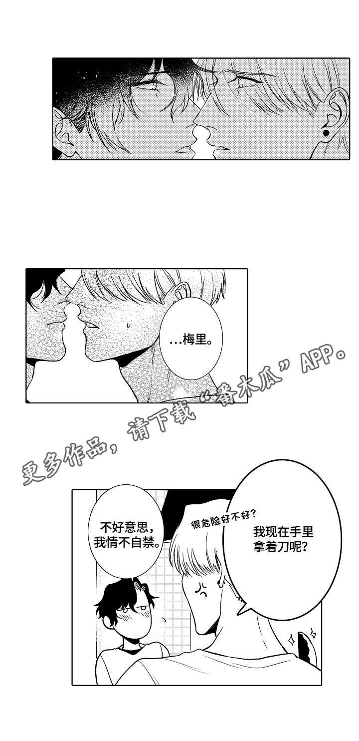 第30章：宣言