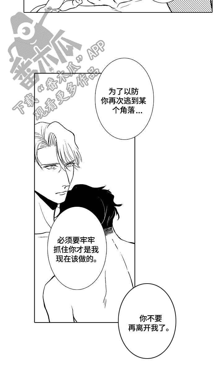 第31章：爱意（完结）