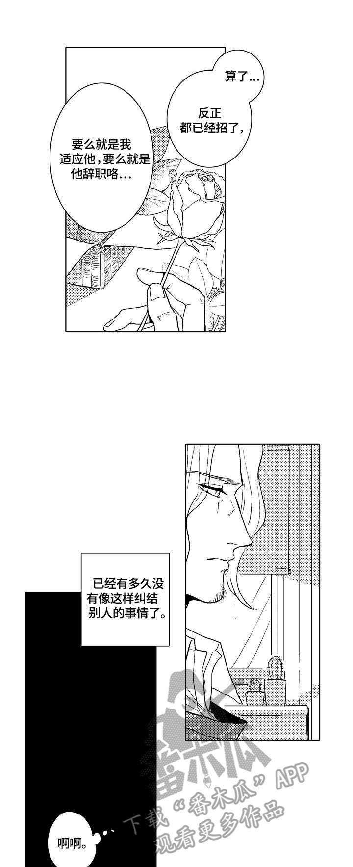 第4章：适应