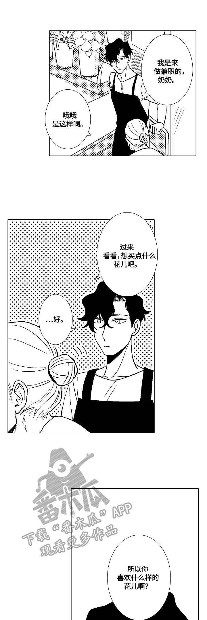 第7章：小雏菊