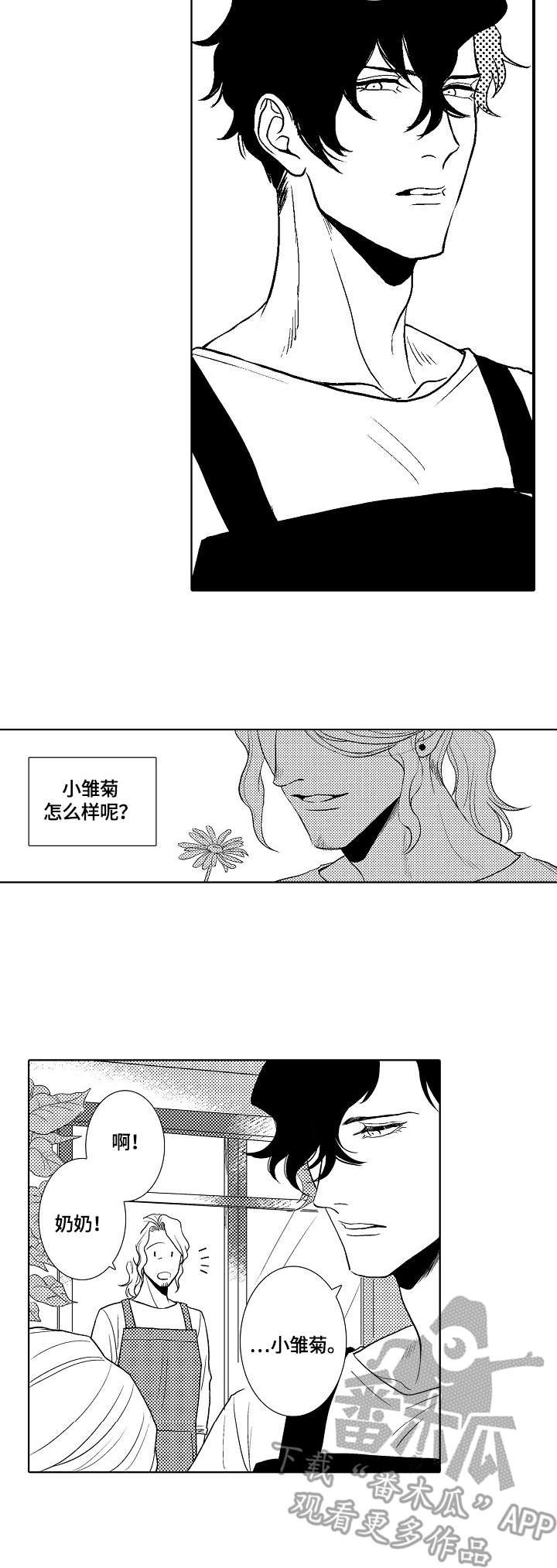 第7章：小雏菊