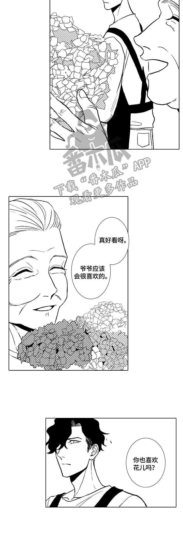 第7章：小雏菊