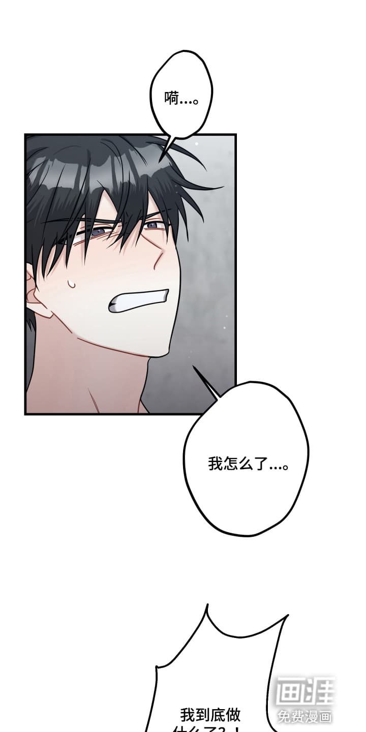 第13章：见面