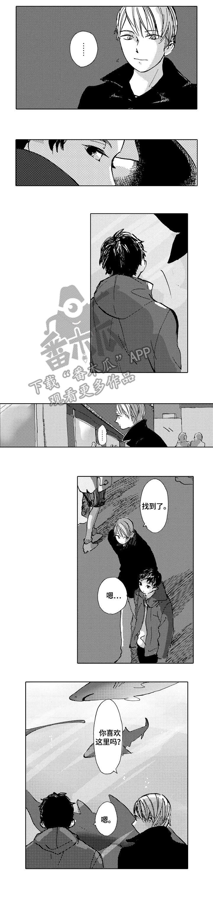 第12章：安排