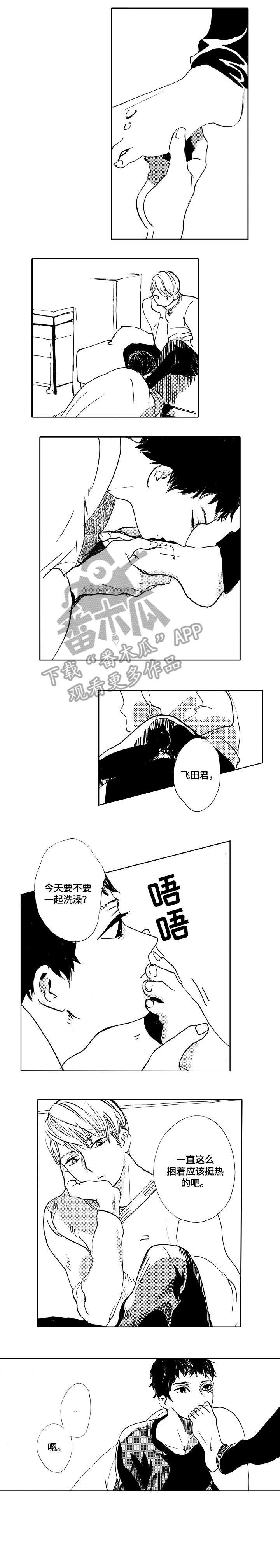 第16章：摸