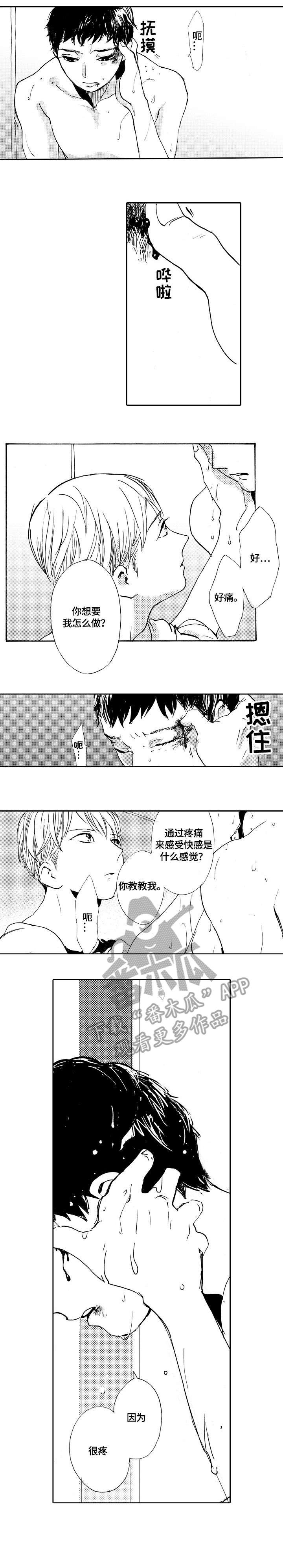 第17章：而已