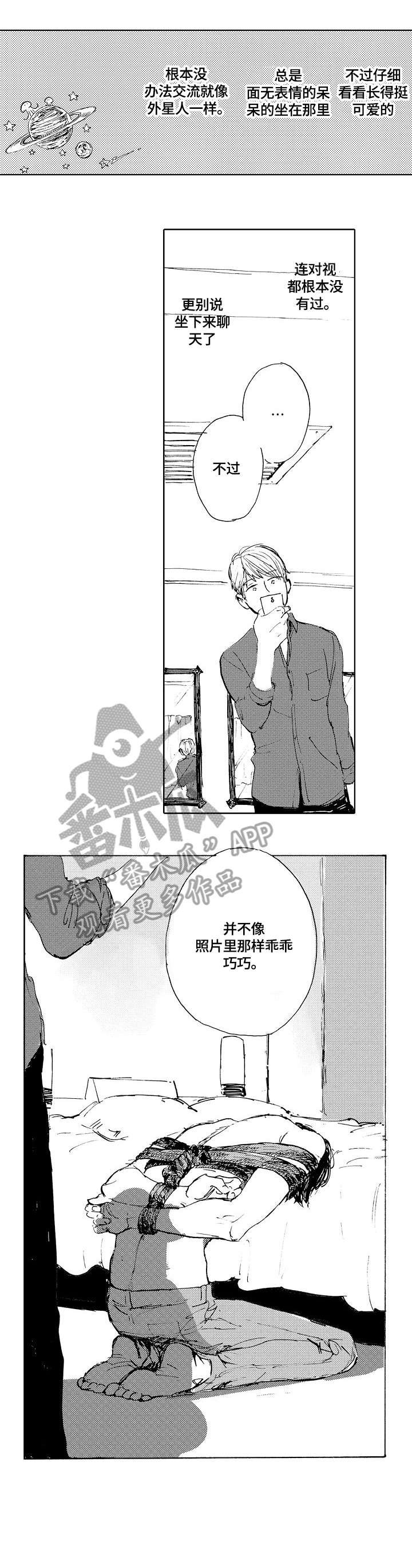 第2章：捆绑