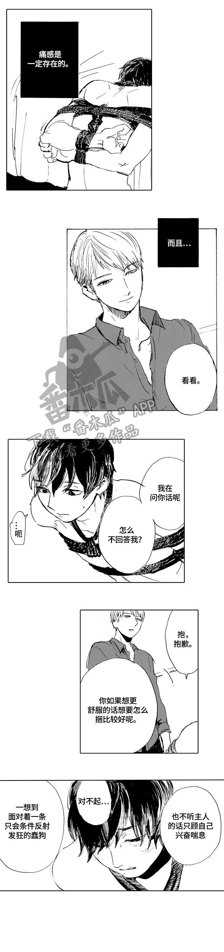 第2章：捆绑