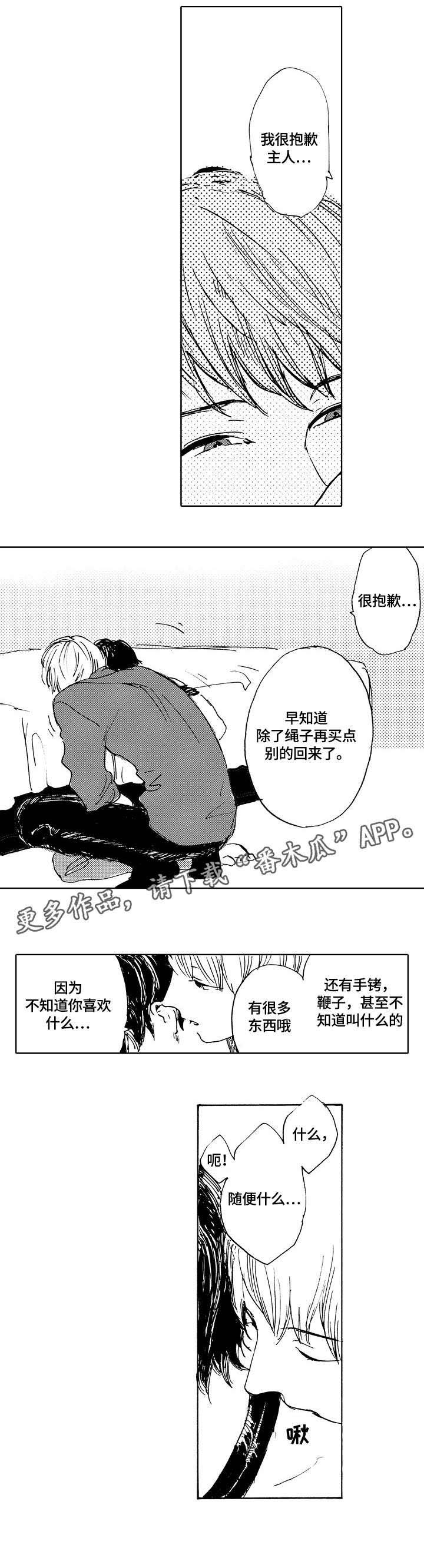 第2章：捆绑