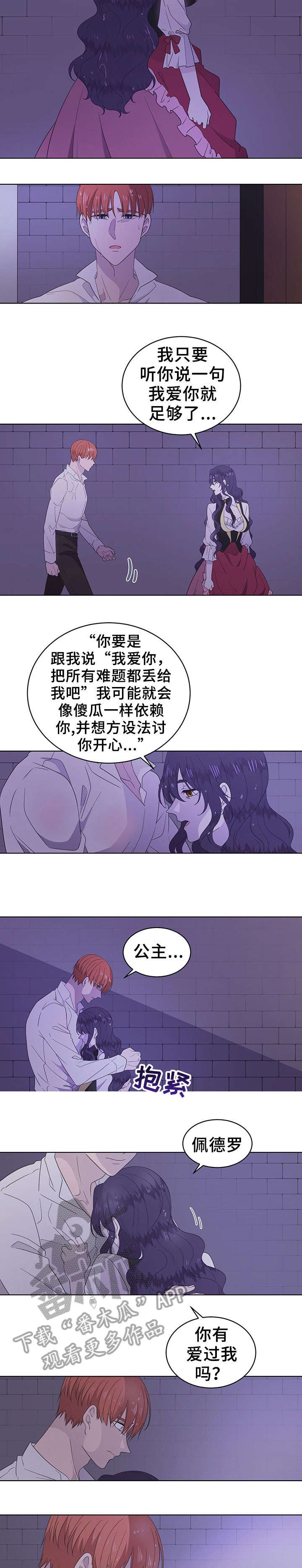 第19章：利用